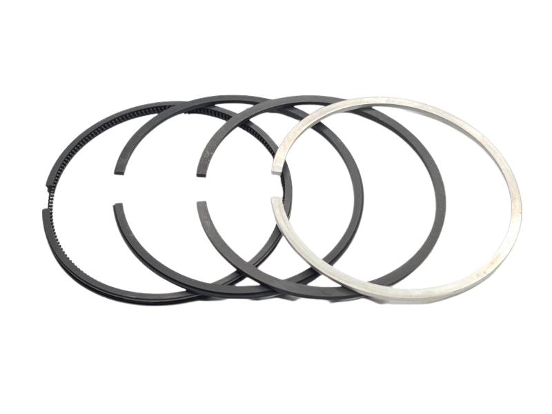 KARIKE MOTORA FI 100 SAME 1003P 1004P 1006P