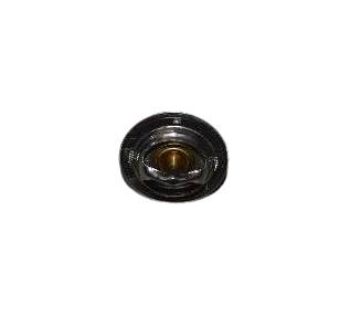 TERMOSTAT 539