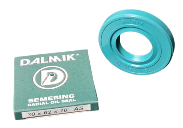 SEMERING 30*62*10 DALMIK