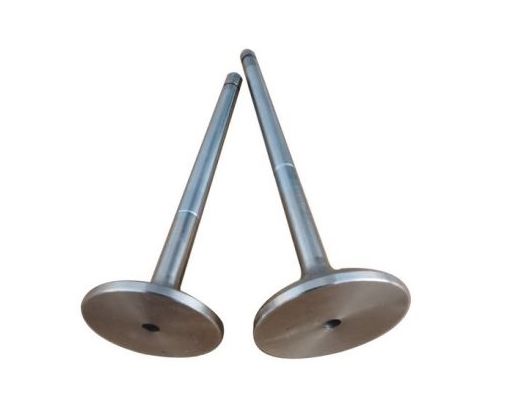 VENTIL USISNI SAME 1000.3A 1000.4A 1000.4W 1000.6A 1000.6W